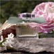 Chloé Rose Naturelle EDP